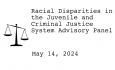 Racial Disparities Advisory Panel - May 14, 2024 [RDAP]