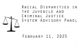 Racial Disparities Advisory Panel - February 11, 2025 [RDAP]