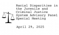 Racial Disparities Advisory Panel - April 29, 2025 [RDAP]