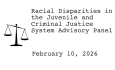 Racial Disparities Advisory Panel - February 10, 2026 [RDAP]