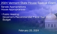 Vermont State House Special Event - Public Hearing: Governor Recommended FY 2025 Budget 2/20/2024