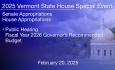 Vermont State House Special Event - Vermont State House Special Event - Public Hearing: Governor's FY 2026 Recommended Budget 2/20/2025