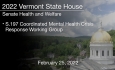 Vermont State House - S.197 Coordinated Mental Health Crisis Response Working Group 2/25/2022