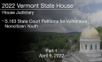 Vermont State House - S.163 State Court Petitions for Vulnerable Noncitizen Youth Part 1 4/6/2022