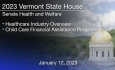 Vermont State House - Healthcare Industry Overview, Child Care Financial Assistance Programs 1/12/2023