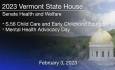 Vermont State House - S.56 Child Care and Early Childhood Education, Mental Health Advocacy Day 2/3/2023