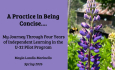 Mayla’s Final Pilot Exhibition - A Practice in Being Concise LIVE 6/1/2026 at 12:30PM