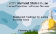 Vermont State House - Residential Treatment for Justice Involved Youth 2/12/2021