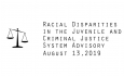 Racial Disparities Advisory Panel - August 13, 2019