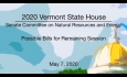 Vermont State House - Possible Bills for Remaining Session 5/7/2020