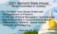 Vermont State House - H.133, H.195 2/23/2021