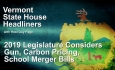 State House Headliners - 2019 Legislature Considers Gun, Carbon Pricing, School Merger Bills