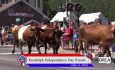 Randolph Independence Day Parade 2016