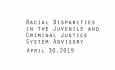 Racial Disparities Advisory Panel - April 30, 2019