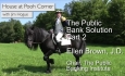 House on Pooh Corner: The Public Bank Solution with Ellen Brown Pt2