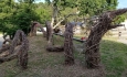 North Branch Nature Center Visiting Teacher-Naturalist LIVE 11/3/2025 at 5:30PM